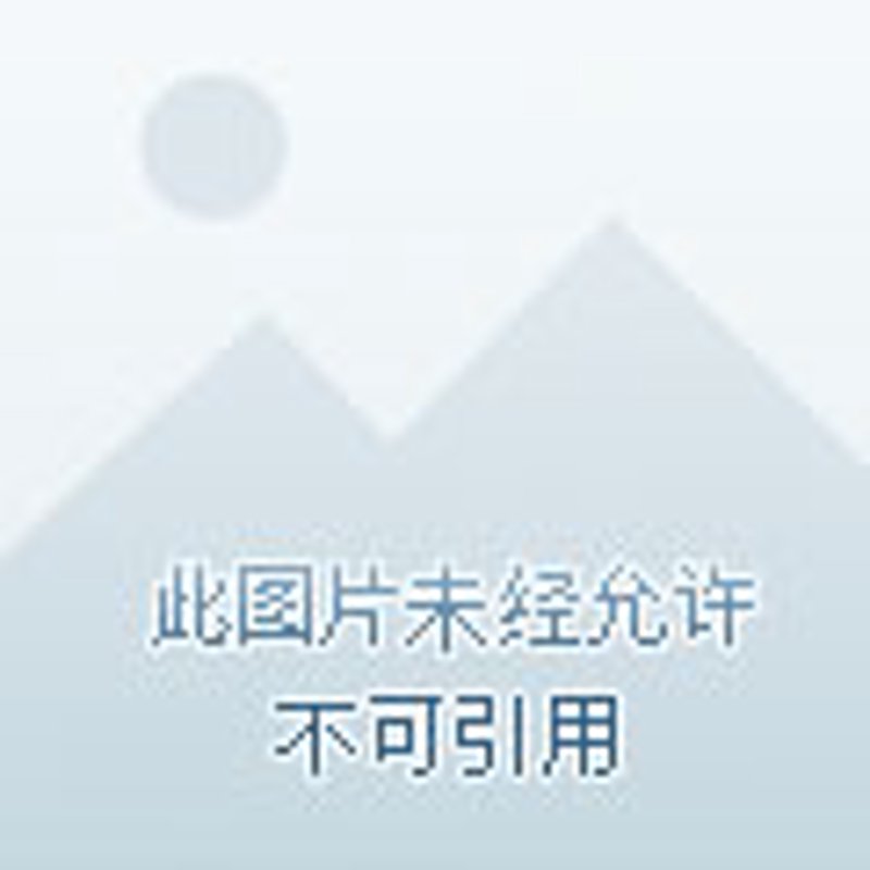盛夏展览展示:如何吸引眼球?